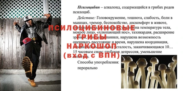 стаф Беломорск