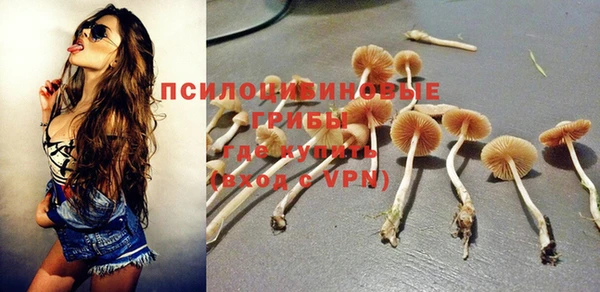 ALPHA PVP Богданович